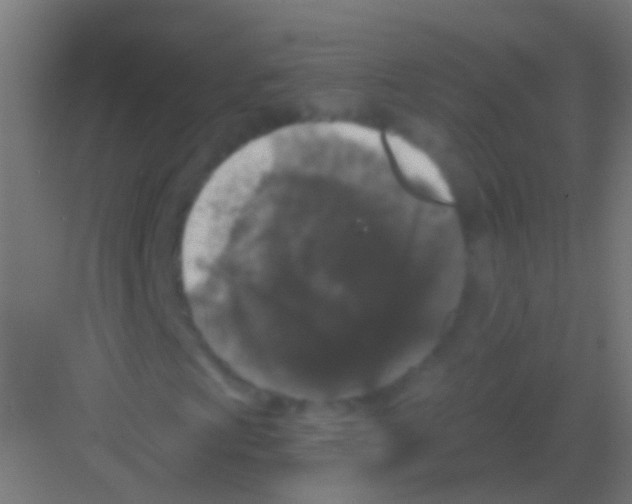 X0000081341009200702082223