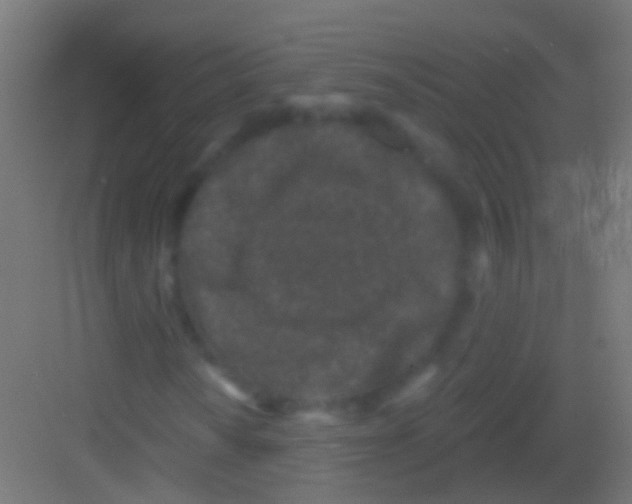 X0000081341010200702082223