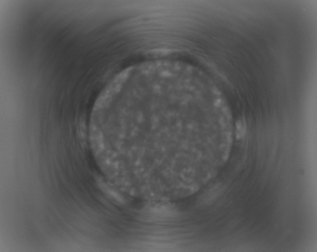 X0000081341011200702082223