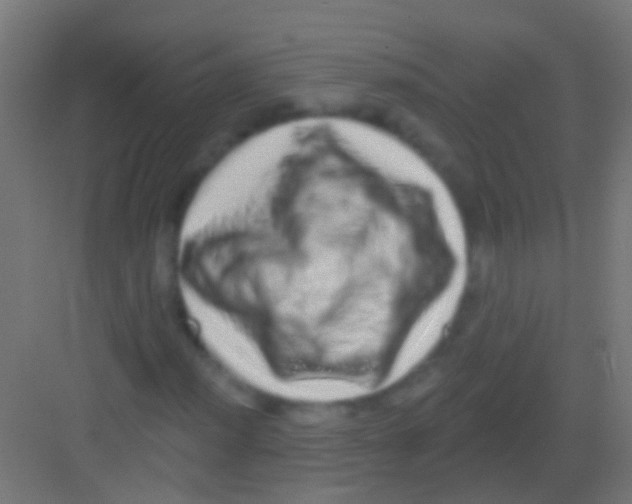 X0000081341012200702082223