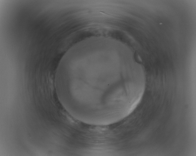 X0000081341013200702082223