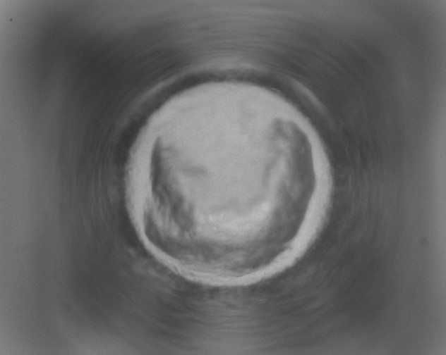 X0000081341016200702082223