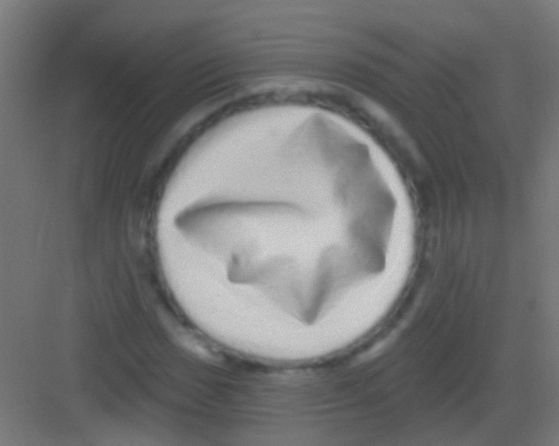 X0000081341017200702082223