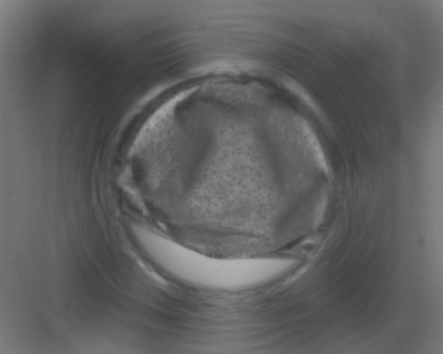 X0000081341018200702082223