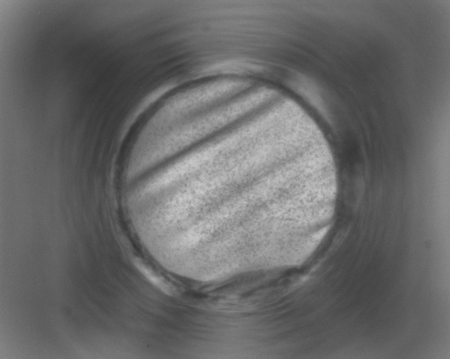 X0000081341026200702082223