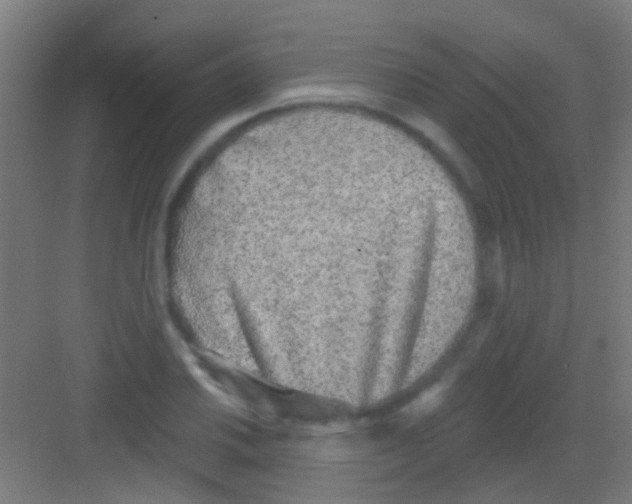 X0000081341030200702082223