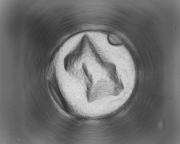 X0000081341033200702082223