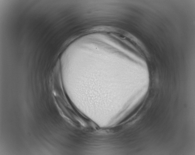 X0000081341049200702082223