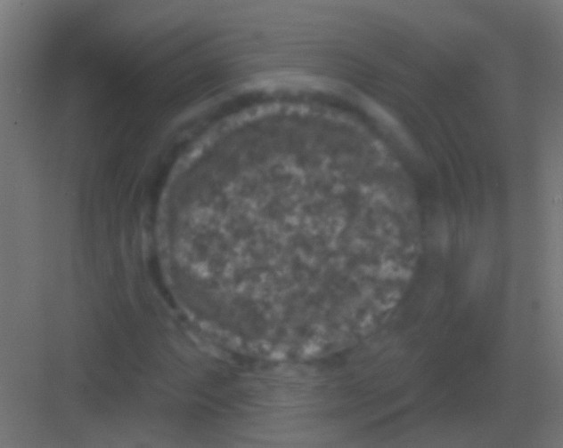 X0000081341063200702082223