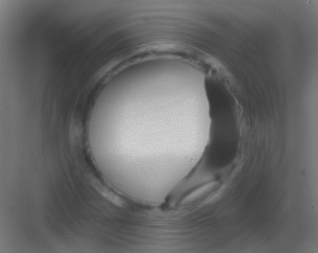 X0000081341065200702082223