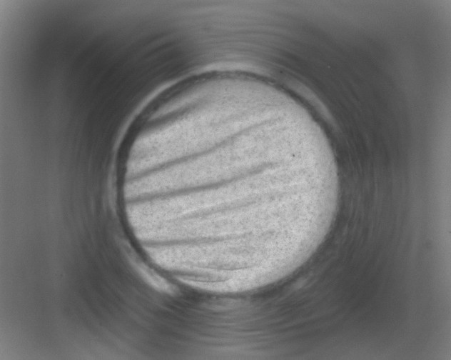 X0000081341076200702082222