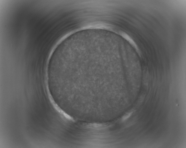 X0000081341088200702082222