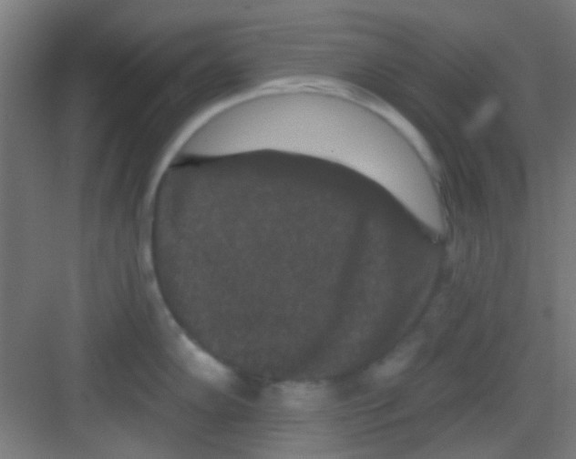X0000081341102200702082222