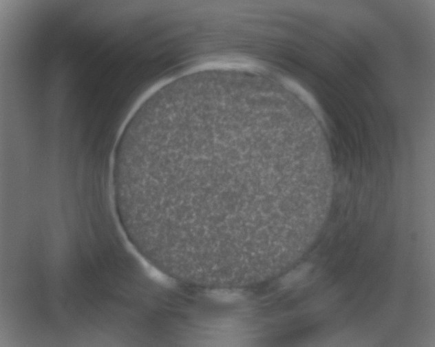 X0000081341103200702082222