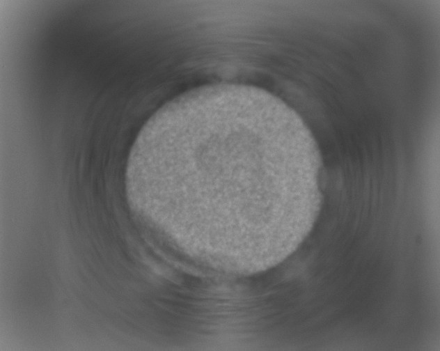 X0000081341105200702082221