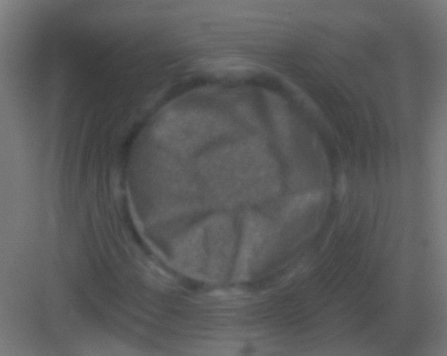 X0000081341108200702082221