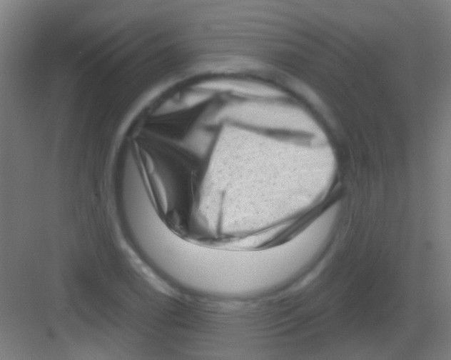 X0000081341122200702082221