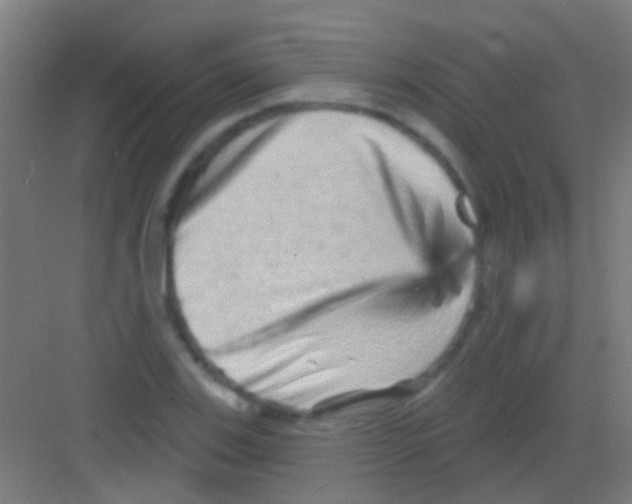 X0000081341123200702082222