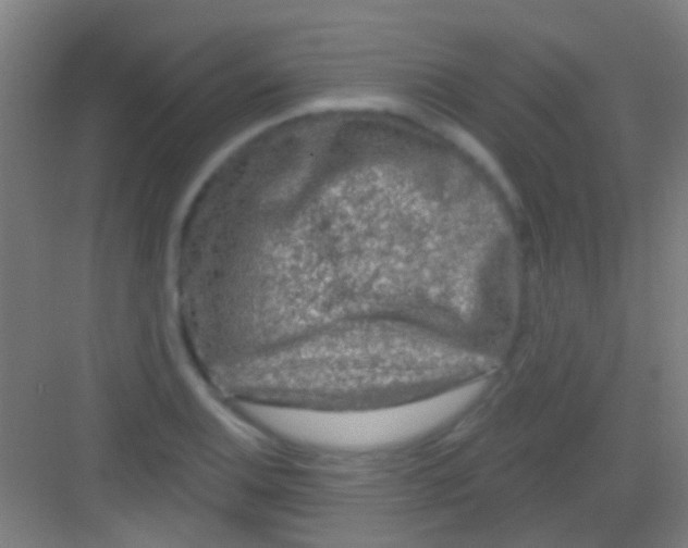 X0000081341124200702082222