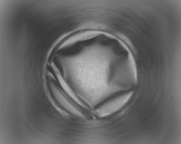 X0000081341128200702082222