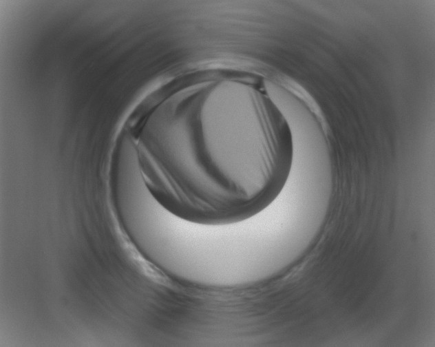 X0000081341138200702082222