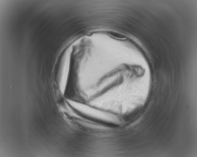 X0000081341145200702082222