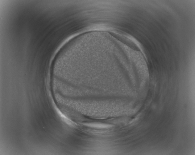 X0000081341147200702082222