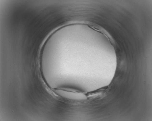 X0000081341148200702082222