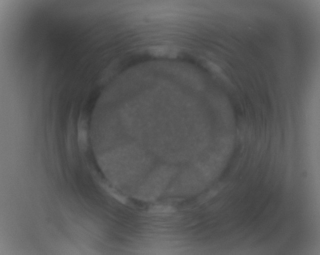 X0000081341154200702082221