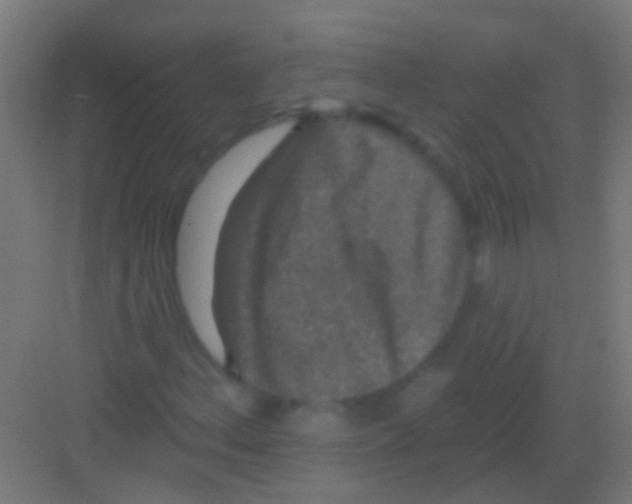 X0000081341156200702082221