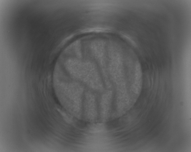 X0000081341158200702082221