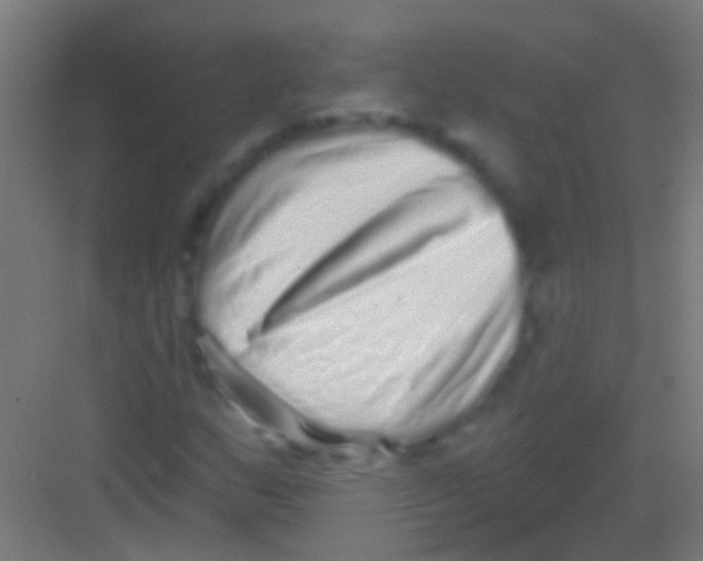 X0000081341159200702082221