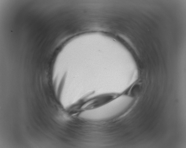 X0000081341163200702082221