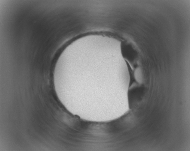 X0000081341165200702082221