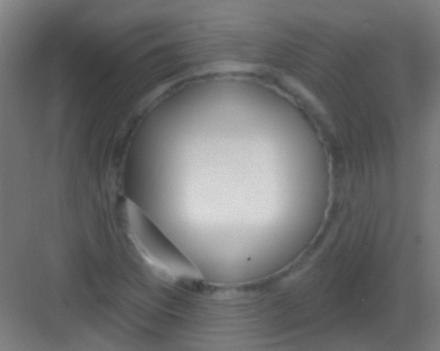 X0000081341169200702082221