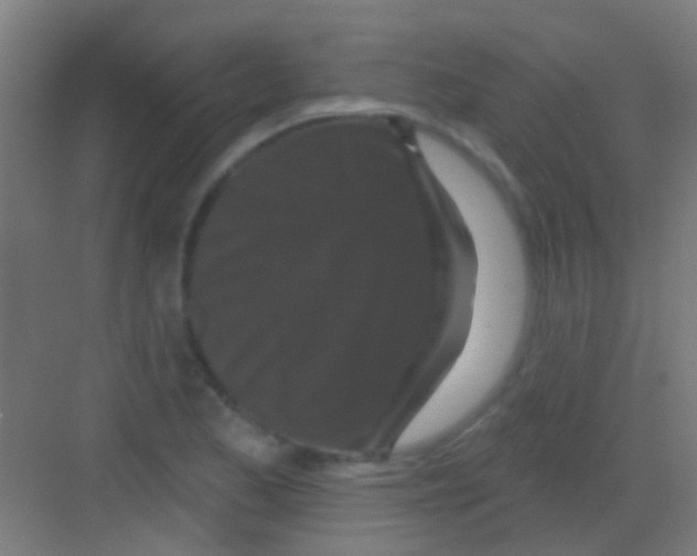 X0000081341173200702082221