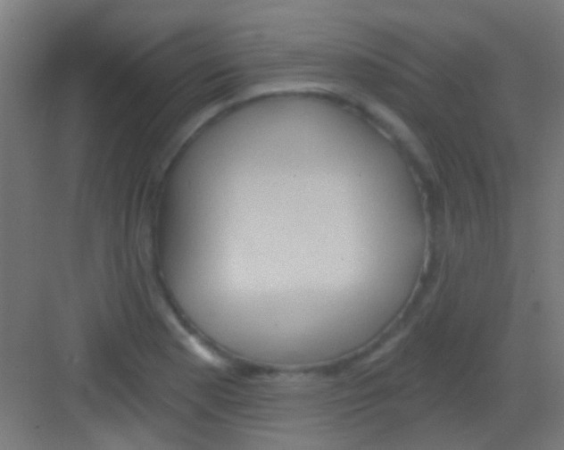 X0000081341177200702082221