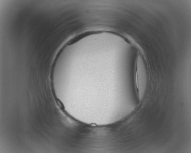 X0000081341189200702082221