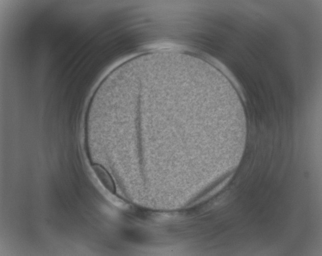 X0000081341195200702082220