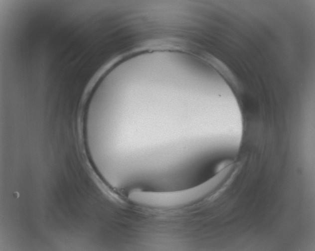 X0000081341196200702082220
