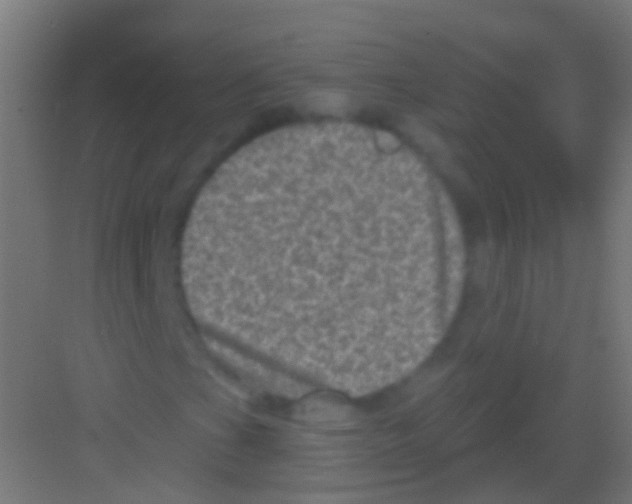 X0000081341201200702082220