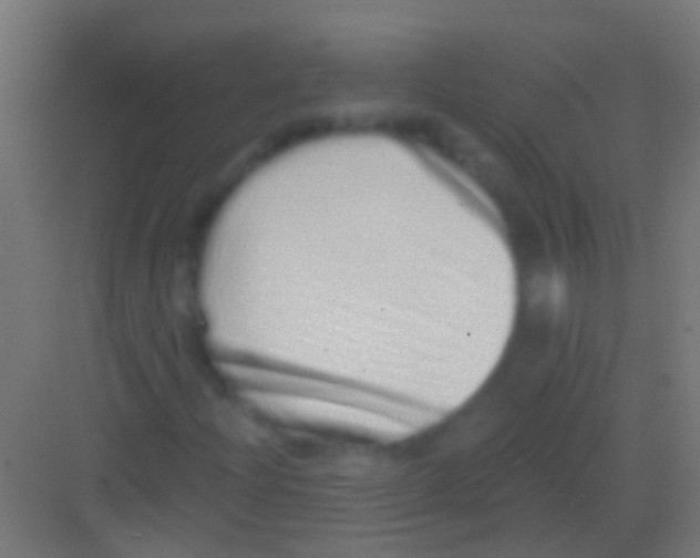 X0000081341204200702082220