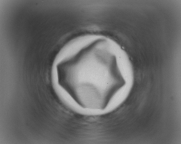 X0000081341205200702082220