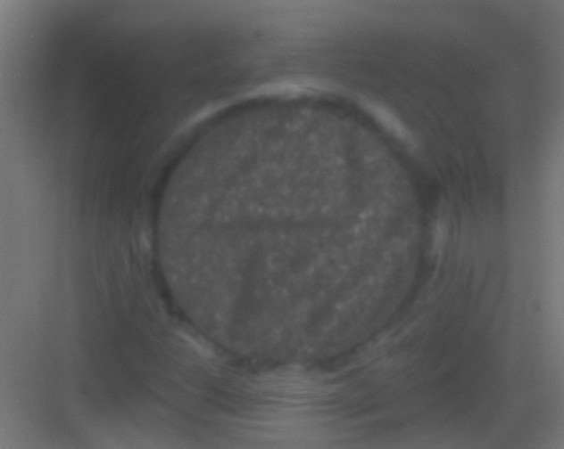 X0000081341206200702082220