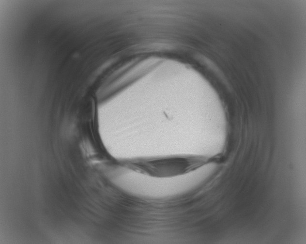 X0000081341210200702082220