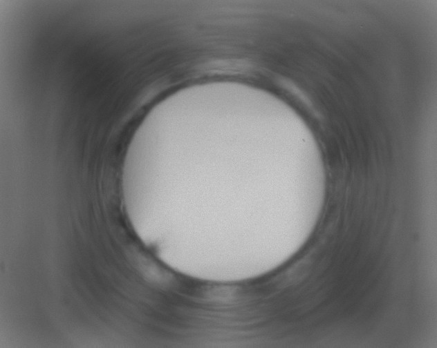 X0000081341211200702082220