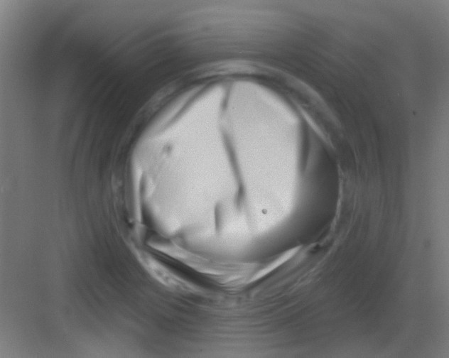 X0000081341225200702082220