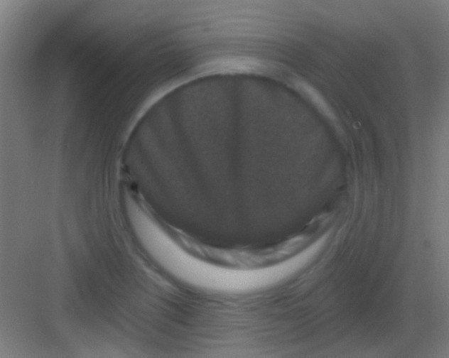 X0000081341226200702082220