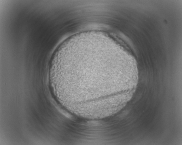 X0000081341227200702082220