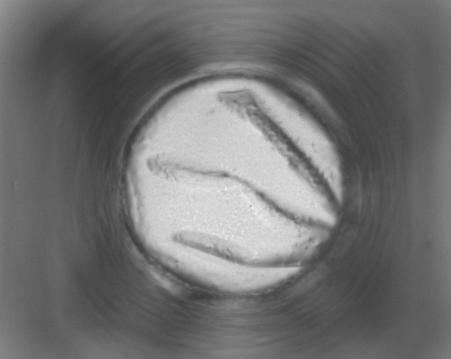 X0000081341228200702082220